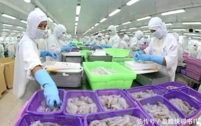 印度虾订单涌入中国，邻国呼吁公平竞争
